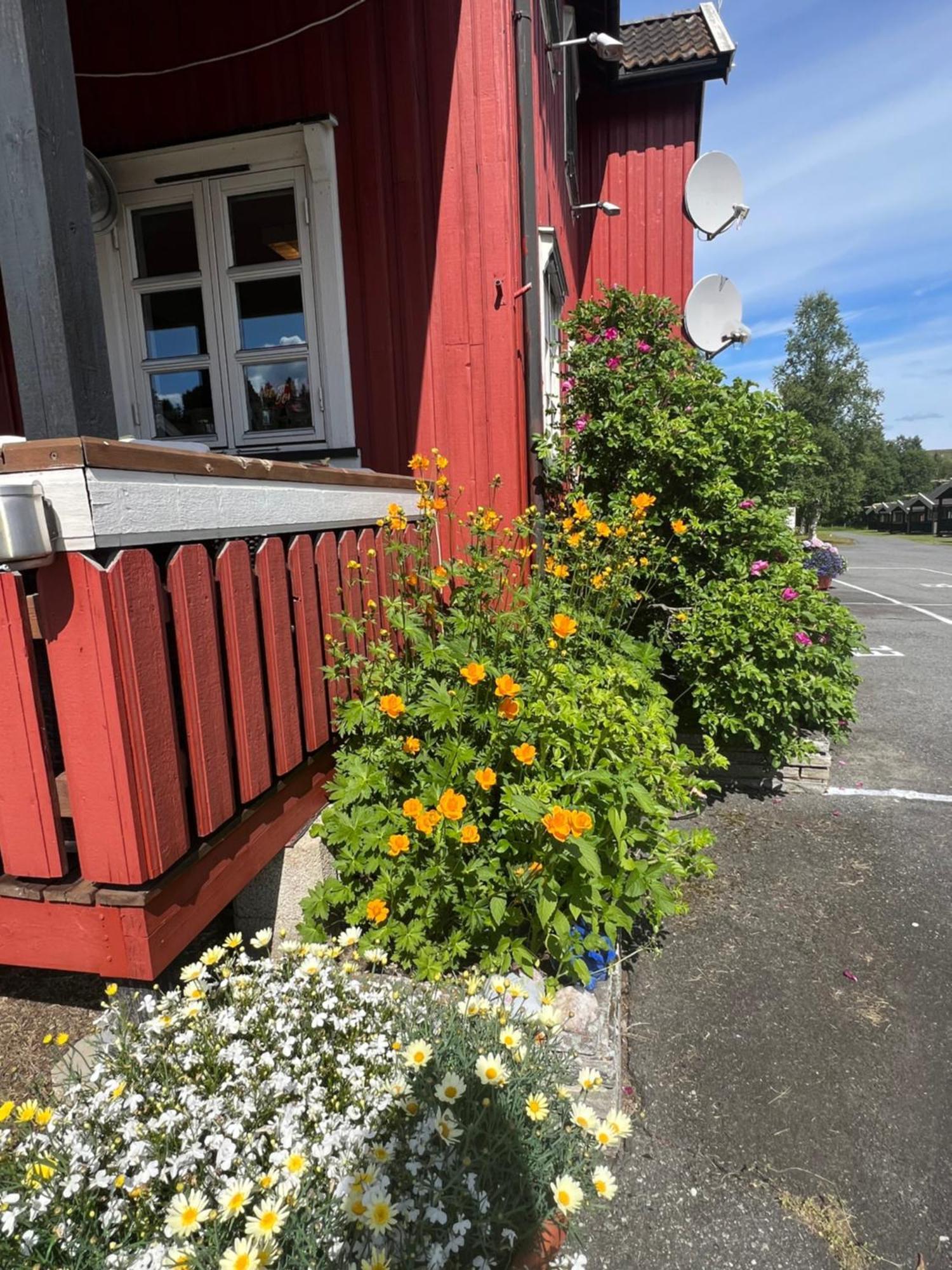 Hotel Gullvag Camping Nyberg Soknedal Exterior foto