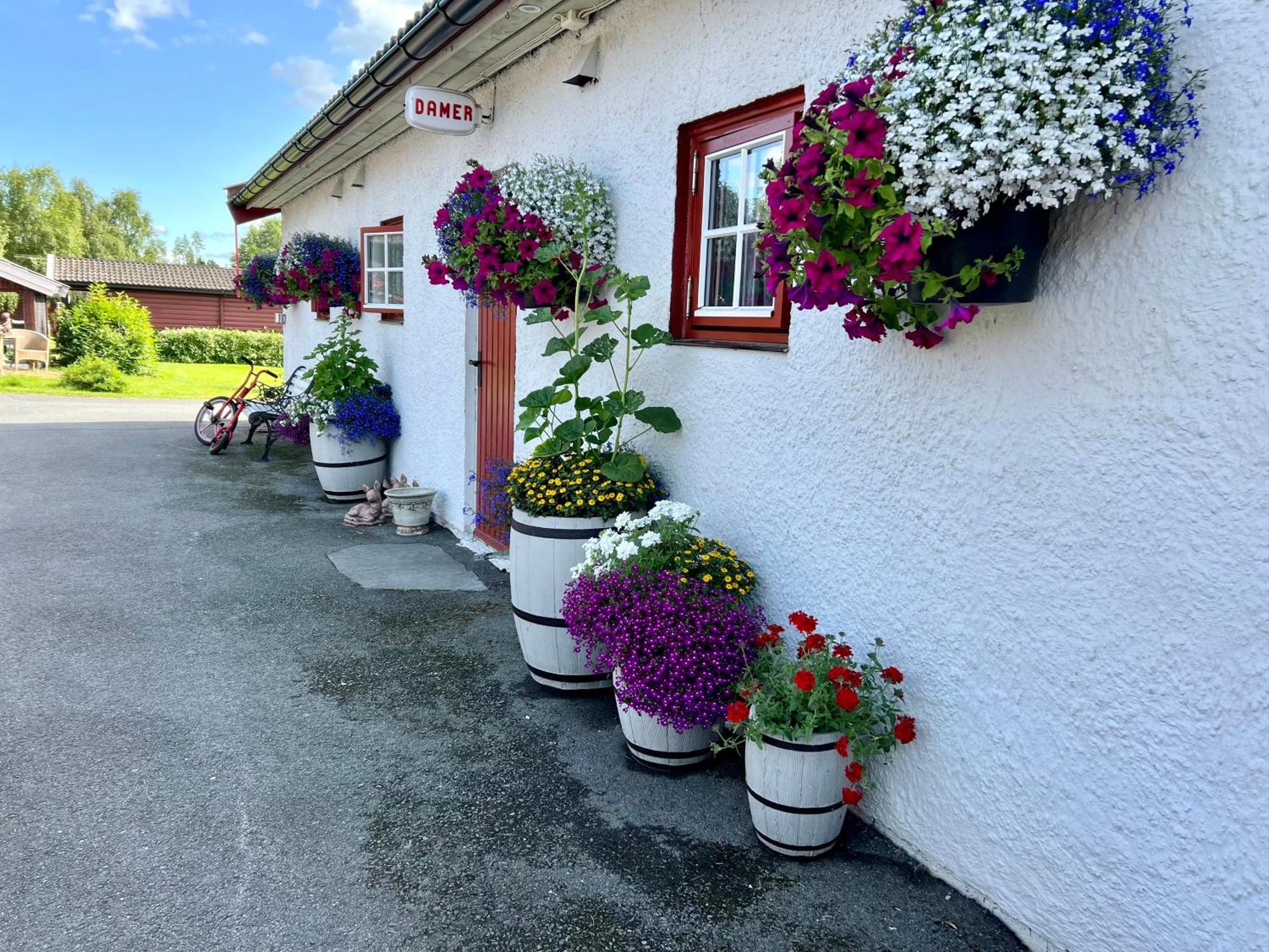 Hotel Gullvag Camping Nyberg Soknedal Exterior foto