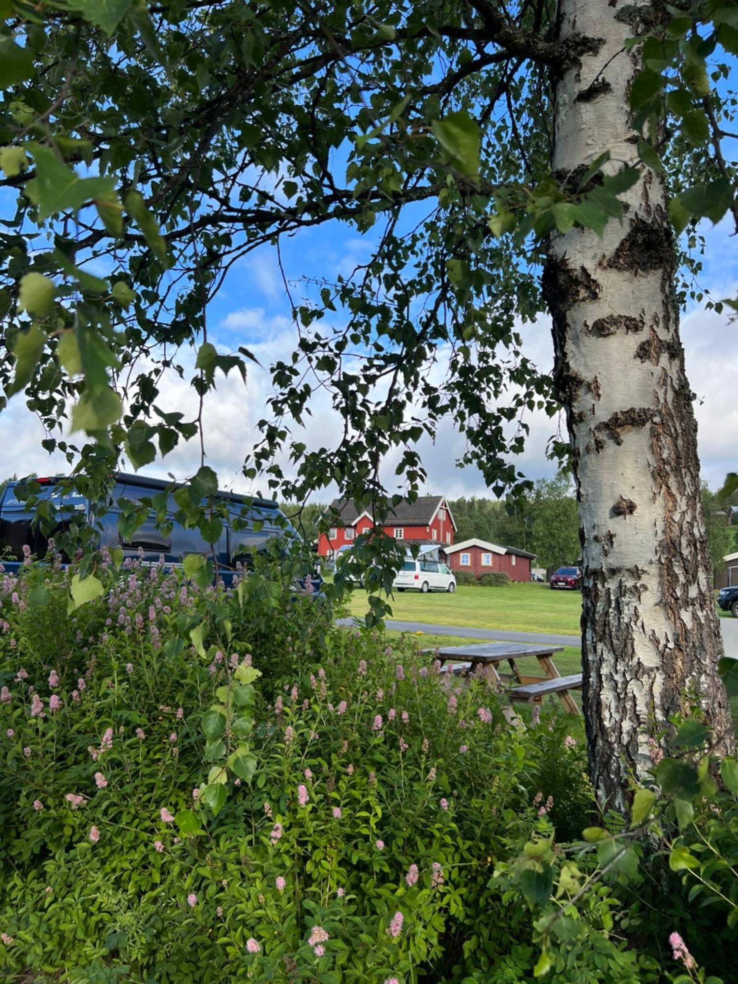 Hotel Gullvag Camping Nyberg Soknedal Exterior foto