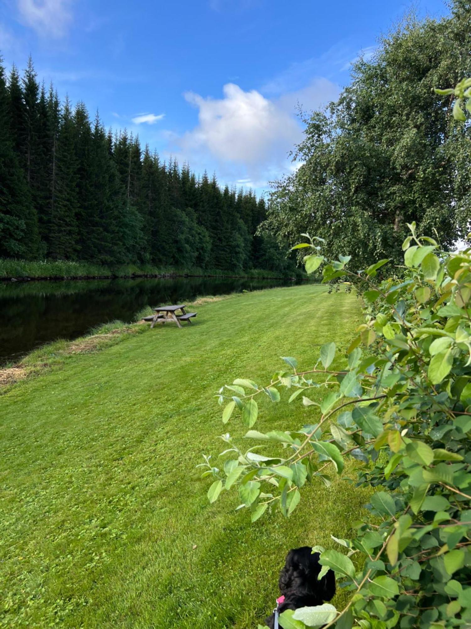 Hotel Gullvag Camping Nyberg Soknedal Exterior foto